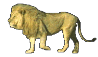 lion makhou